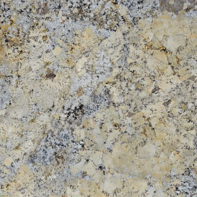 Delicatus Cream stone sample